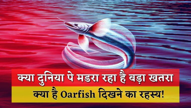 what is the secret of the appearance of Oarfish!