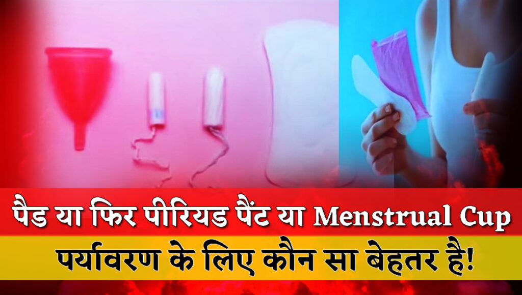 Pads, period pants, and menstrual cups – which is better from the environmental point of view